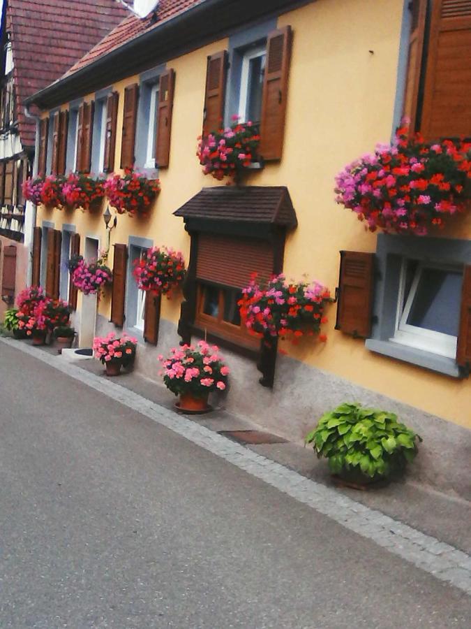Appartamento Relais De La Diligence Romanswiller Esterno foto